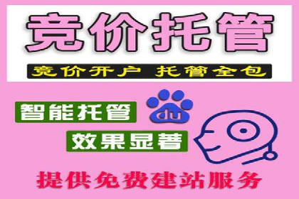 百度搜索推广案例解析：优化策略大揭秘